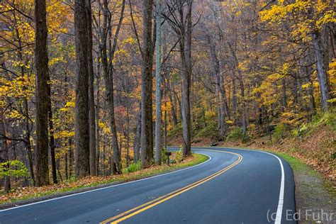 Newfound Gap Road Great Smoky Mountains National Park Ed Fuhr