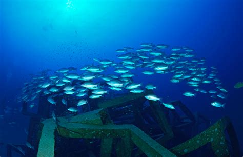 In the coastal waters of the us, a nation's leftovers have been discarded. Outer Banks Oregon Inlet Fishing | New Artificial Reef