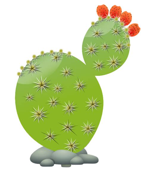 Cactaceae Clip Art Cactus Vector Png Download Full Si