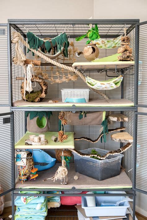 21 Rat Cage Designs Ideas In 2021 Rat Cage Pet Rats Rat Toys