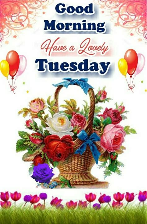 Check spelling or type a new query. Good Morning Tuesday Greetings | Tuesday greetings, Good ...