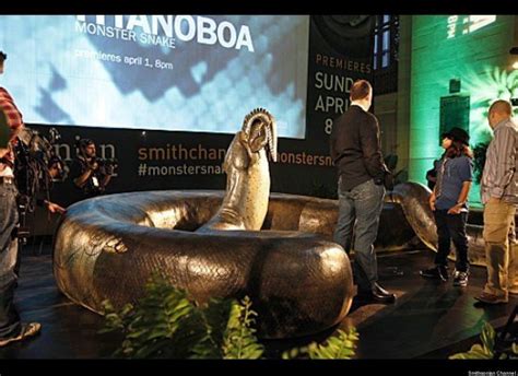 LOOK: World's Biggest Snake Coming To Smithsonian | World biggest snake, Smithsonian, Snake