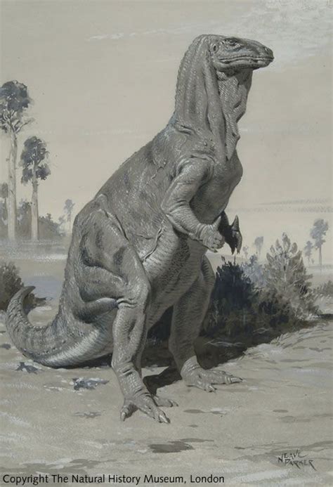 Triassic ∆ Jurassic ∆ Cretaceous Dinosaur Illustration Prehistoric