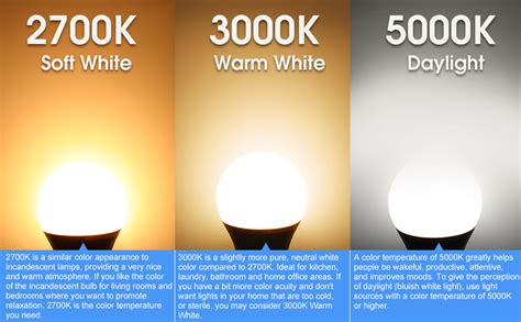 40w Equivalent A19 Led Light Bulb Warm White 3000k E26 Standard Base
