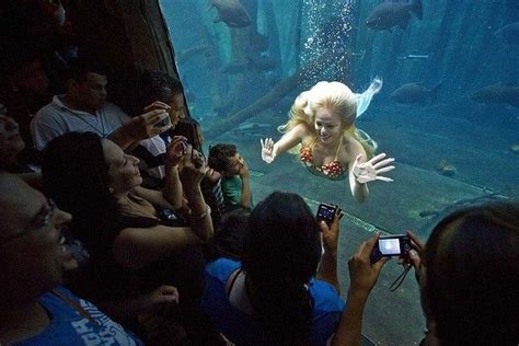 Visitors Watch Mirella Ferraz Known As Brazilian Mermaid As She Swims