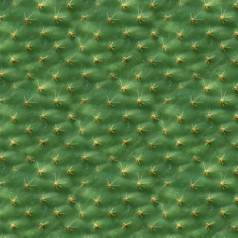 Premium Photo Seamless Texture Cactus Leaf Structure As Background