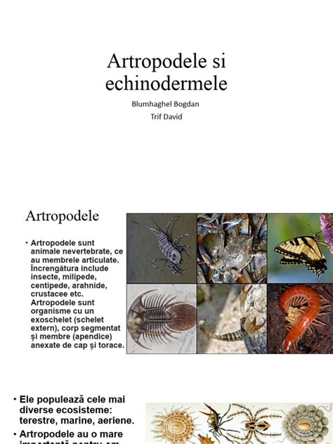 Artropodele Si Echinodermele Pdf