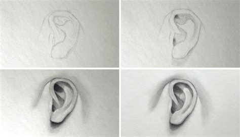 How To Draw An Ear Quick And Easy Tutorial For Beginners