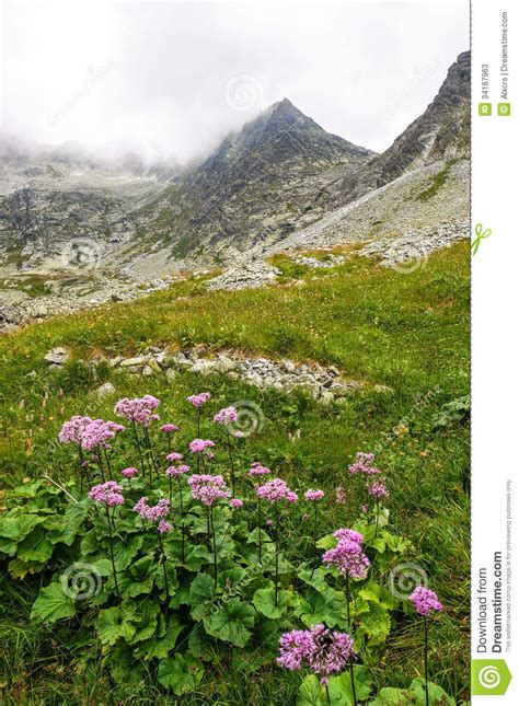 Beautiful Scenery In The Mountains Slovakia Stock Photos