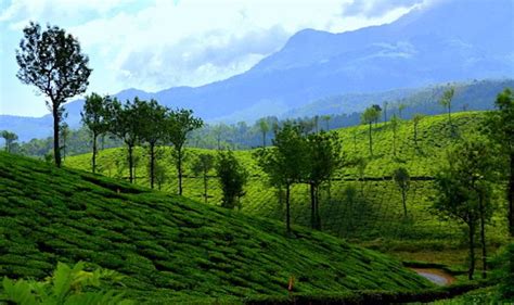 4 Best Things To Do In Wayanad In Summer News Travel News