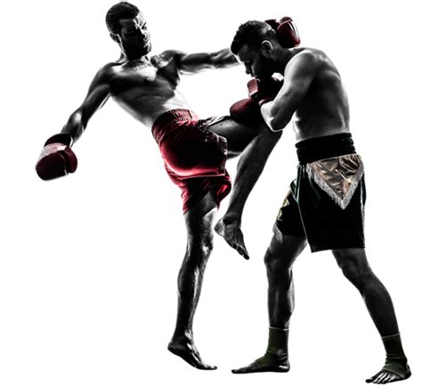 Mma Fight Png Free Download Png All Png All