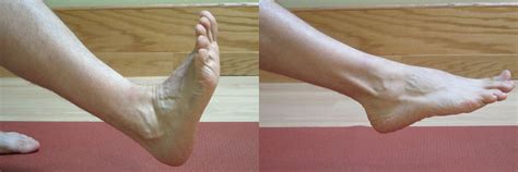 Ankle Sprains Intermediate Phase Part Ii Of Iii The Physical