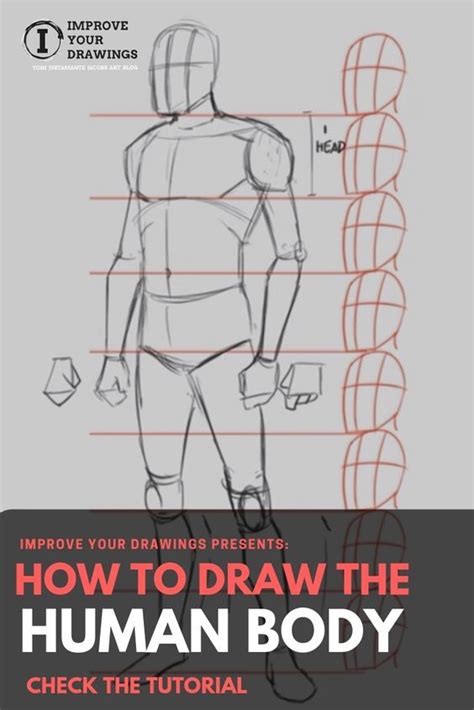How To Draw The Human Body Step By Step Welcome To This Step By Step
