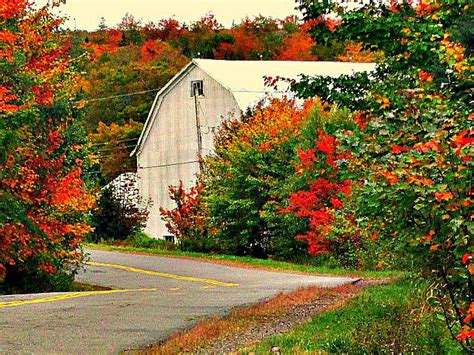 Nova Scotia Fall Photograph By Larry Matthews Fine Art America