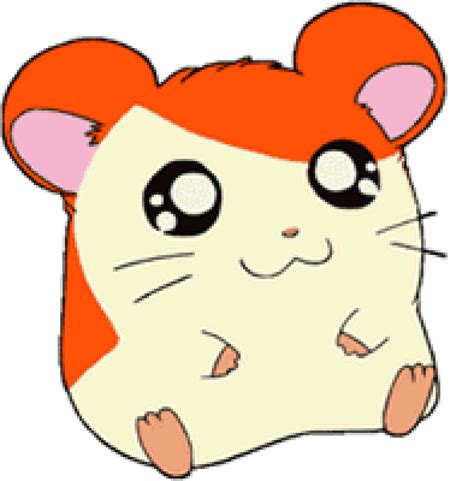 Coloriage Hamster Hamtaro Sur