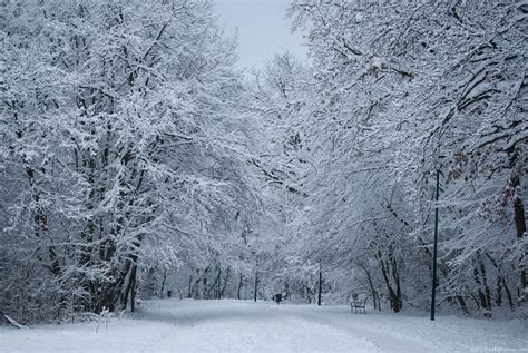 Maybe you would like to learn more about one of these? Snowy Park - FREEBigPictures.com