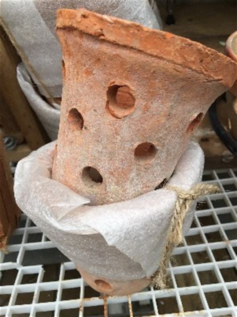 We did not find results for: Ironwood Estate Orchids Pots