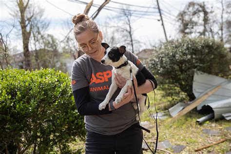 Aspca Mobilizes Disaster Response Team To Assist Mississippi Animal