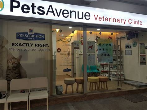 11 24 Hour Vets In Singapore Sorted By Location To Bookmark For