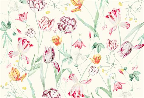 Tulip Flowers Wallpaper Floral Wallcoverings Wallpapered