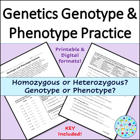 Genotypes And Phenotypes Genetics Worksheet Made By Teachers