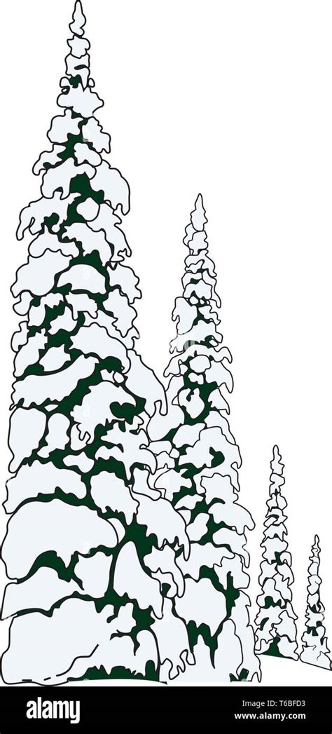 Snowy Fir Tree Vector Illustration Stock Vector Image And Art Alamy