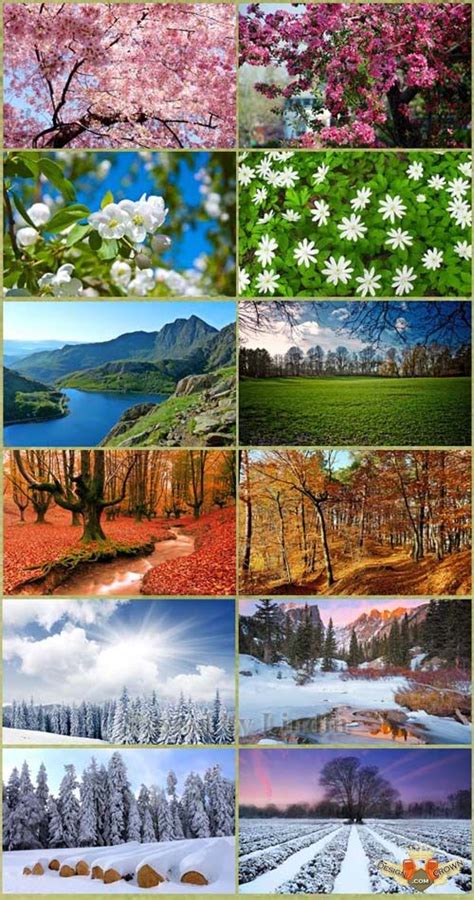 46 Fabulous Nature Wallpapers Desktop Wallpapersafari