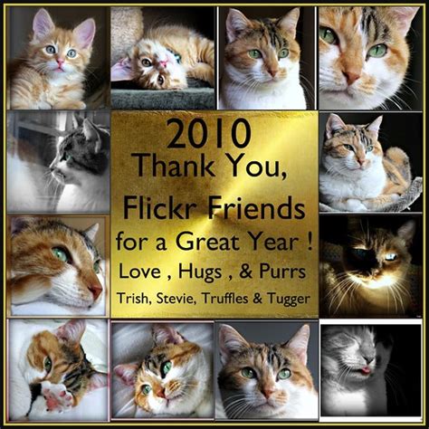 Thank You Flickr Friends For A Great Year Thank You Flickr