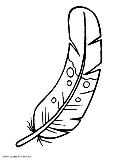 Feather Coloring Book Coloring Pages