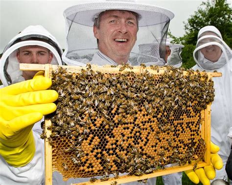 Begin Beekeeping Apiarist Beekeeping Bees Honeybees Apiarist