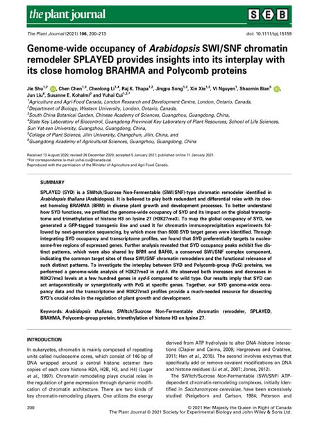 Pdf Genomewide Occupancy Of Arabidopsis Swi Snf Chromatin Remodeler