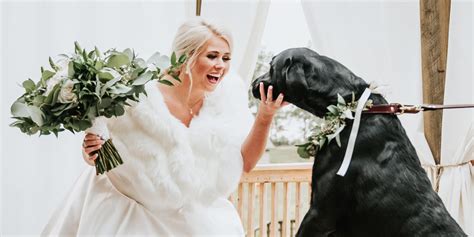 Bride Has First Look Photo Shoot With Her Beloved Dog