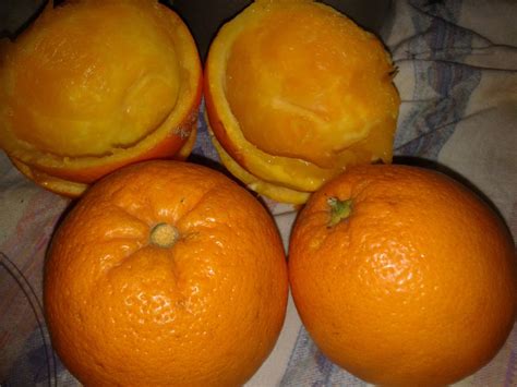 We did not find results for: Claudia Cakes: Bagna per dolci all'Arancia