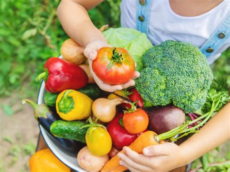 When Are Vegetables Fresh Tips On Checking For Vegetable Freshness