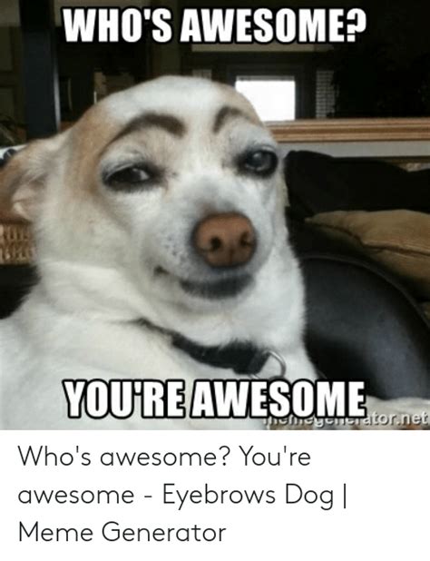 Awesome Puppy Memes 10lilian