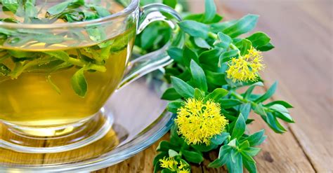 10 Adaptogen Herbs To Lower Your Cortisol Wellness Repair