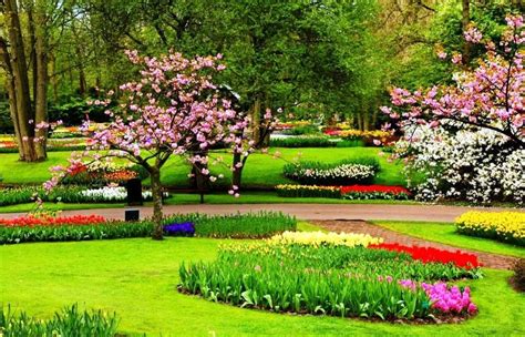 Background pemandangan taman bunga sakura 8 background check all di 2020 bunga sakura jual alas foto produk background taman pagi ukuran a1 84x60cm kota surabaya jual aneka. Background Taman Indah - Tour Informasi Dan Tiket Wisata 2020