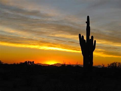 Covering life in and around the phoenix metro area. Scottsdale Daily Photo: Photo: Arizona desert sunset