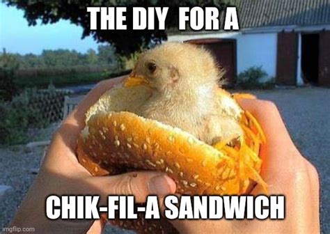 Chicken Sandwich Memes Imgflip
