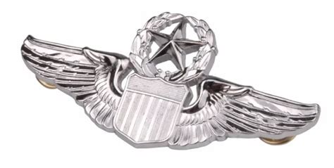 Usaf Us Air Force Military Command Pilot Metal Wings Badge Regulation