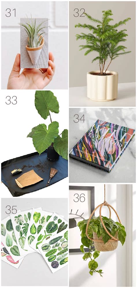 Over 50 T Ideas For Plant Lovers Clever Bloom