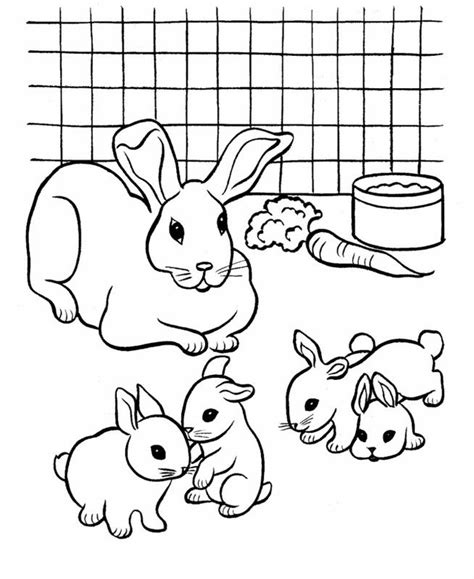 Dieses viele tiere ausmalbild wurde schon 2228 mal angeschaut. ausmalbilder kaninchen 04 | Malvorlagen für kinder, Malvorlagen pferde, Ausmalbilder