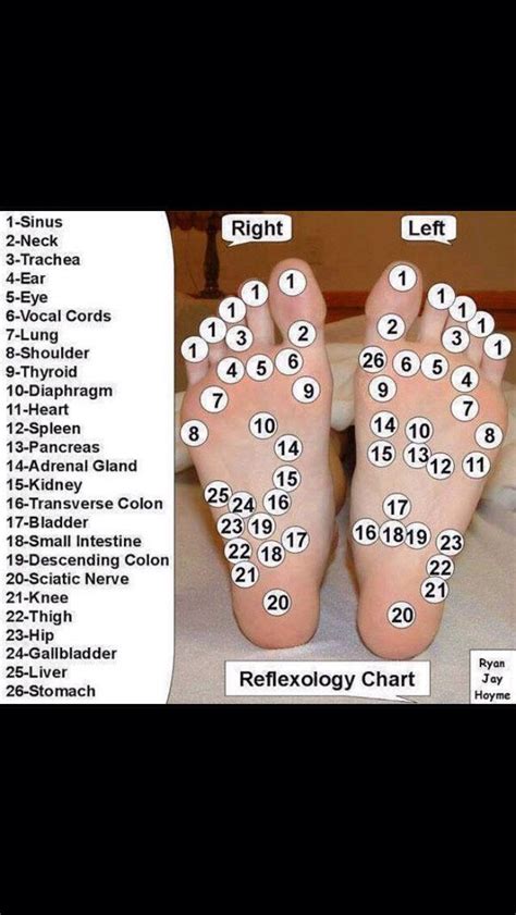Foot Massage Reflexology Reflexology Chart Reflexology Foot Chart