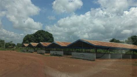 Villagers Abandon Dia Town For Izzi Ebonyi State Because Of Kill Kill