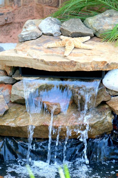 With a pond this small, you really limit yourself to small fish like rosy red minnows or mosquito fish (no goldfish!) and how to create a beautiful waterproof pond in your backyard says Build a Pond DIY