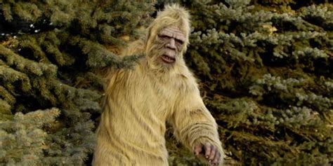 Bigfoot Latest News Breaking Stories And Comment The Independent