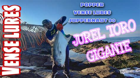 Pesca De Jurel Gigante En Orilla O Playa De Nayarit Youtube