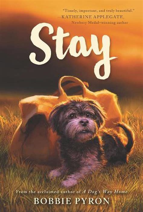 Stay By Bobbie Pyron English Paperback Book Free Shipping