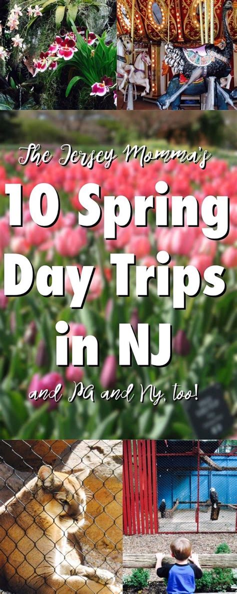 10 Fun Spring Day Trips In New Jersey Pennsylvania And New York Too