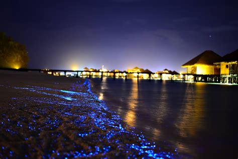 Gili Lankanfushi Resort North Male Atoll Maldives Bioluminescent